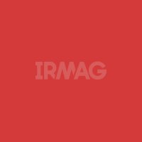 Шнурки для обуви Braus тонкие с пропиткой (60 см)