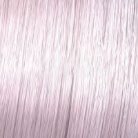 09/61 Ледяная платина