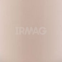 Консилер Essence Camouflage+matt Матирующий (5 мл)