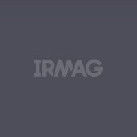 Крем-краска для окрашивания бровей Concept Fusion Profy Touch Эффект татуажа (20 + (30 мл))