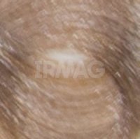 8.23 Светлый бежевый перламутровый блонд