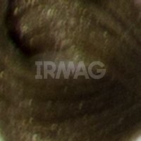 8.07 Насыщенный холодный светлый блонд