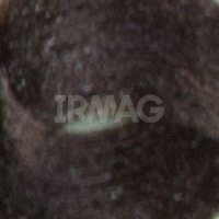 4.85 Коричневый махагон