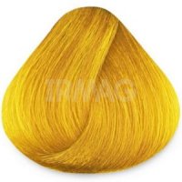 Пигмент для окрашивания Adricoco Miss Adri Прямого действия без окислителя (100 мл)