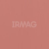 633 Le Rosy Confident