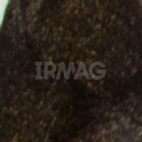 5.03 Тёплый светло-коричневый