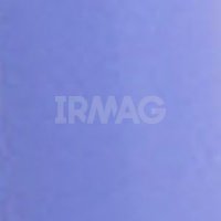 1751 Мини-бикини