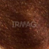 7.4 Медно-коричневый блонд