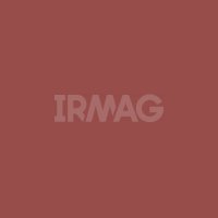 Губная помада Essence The Slim Stick (1,7 г)