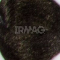 4.0 Коричневый