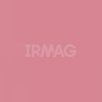 Лак для ногтей Ruta Nail Chic (8,5 мл)