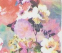 Стикеры для дизайна ногтей Формула Nail Sticker Art (9 х 11 см)