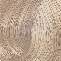 10/81 Нежный ангел