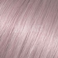 10.21 Платиновый блонд фиолетовый пепельный