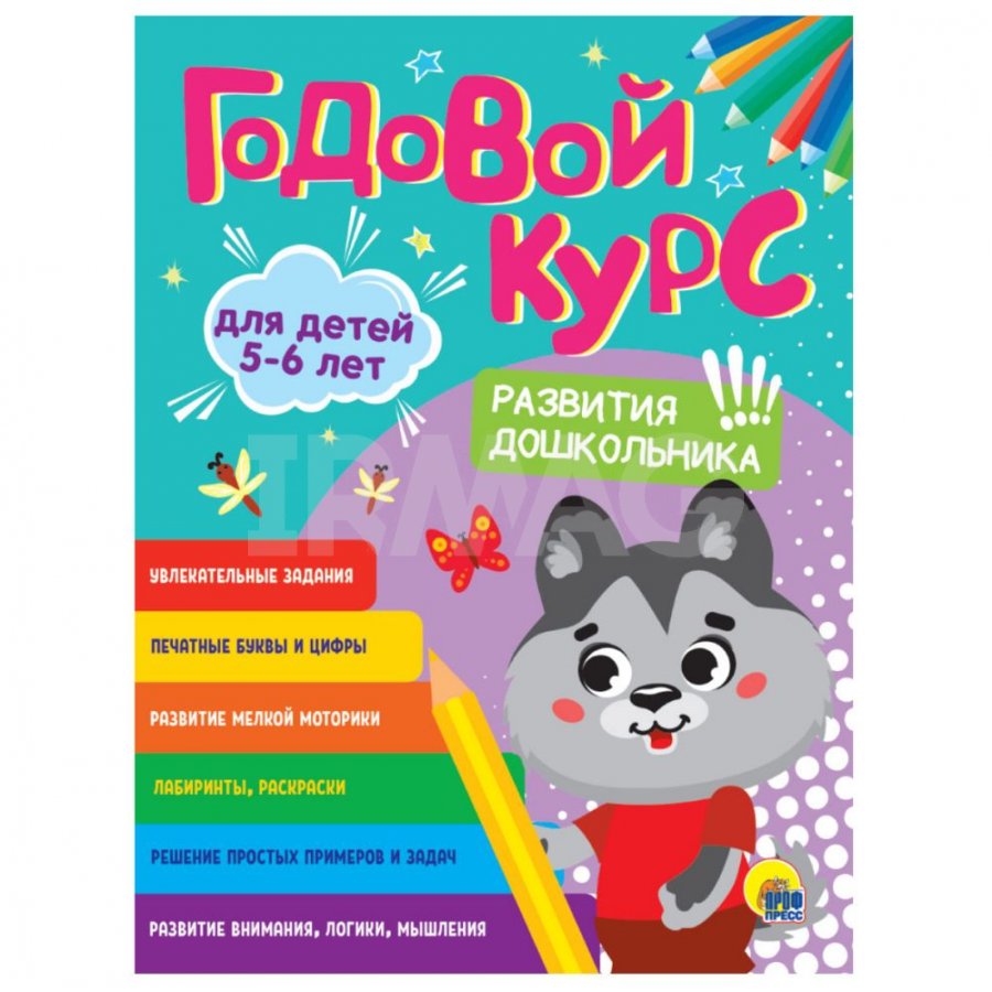 Книга Проф-Пресс Годовой курс Развития дошкольника 5-6 лет - IRMAG.RU