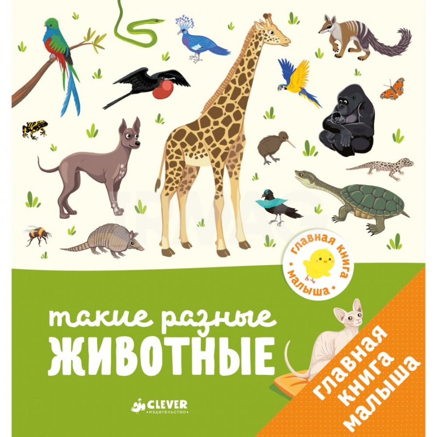 Главная книга малыша Clever Такие разные животные 1+