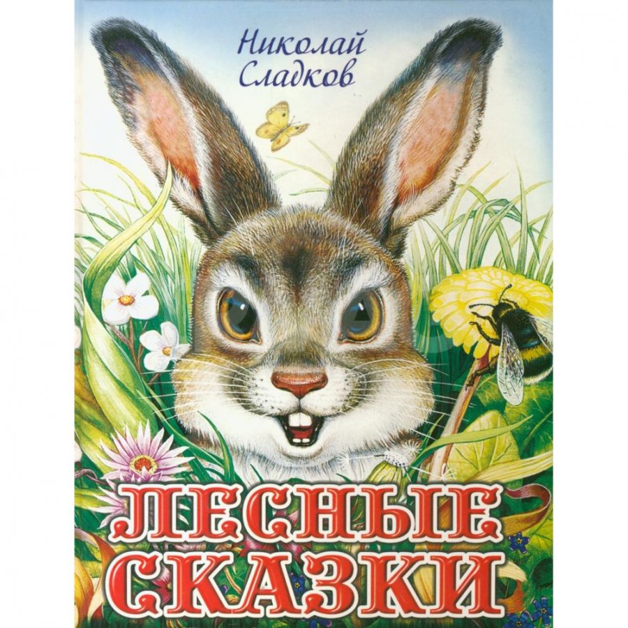 Книга АСТ Лесные сказки. Сладков Н. И. - IRMAG.RU