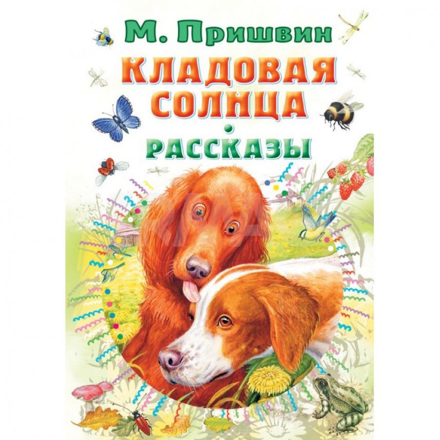 Книга АСТ Кладовая солнца. Рассказы. Пришвин М. М. - IRMAG.RU