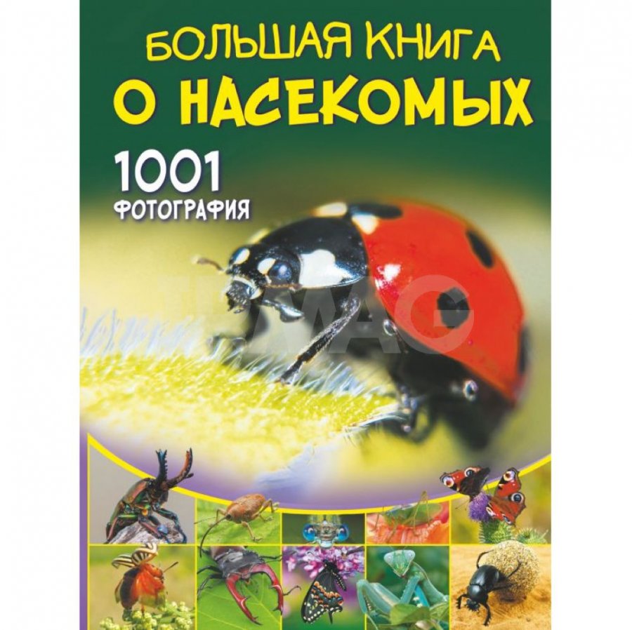 Книга АСТ Большая книга о насекомых. 1001 фотография. Спектор А. А. -  IRMAG.RU