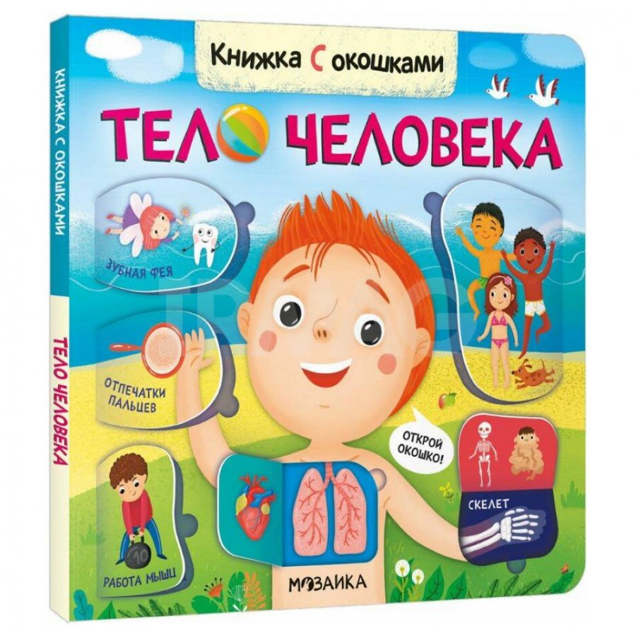 Книжки с окошками Мозаика Kids Тело человека