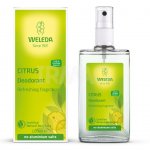 Дезодорант спрей Weleda Citrus Цитрусовый (100 мл)