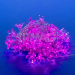 Гирлянда-нить светодиодная Uniel Сакура розовая (7 м)