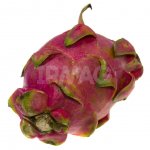 Питайя Деметра Фреш Белая (1 шт.)