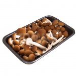 Грибы Деметра Фреш Опята свежие (300 г)