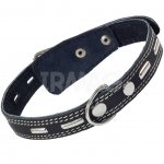 Ошейник для собак Gamma кожаный двойной c украшением (25 х 580 мм)