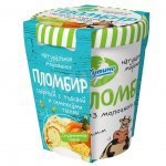 Мороженое Из молочного края Пломбир со вкусом сыра, тыквы и семечками тыквы 12% (270 г)