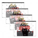 Zip-пакет пластиковый Erich Krause Feline Friends B5 ассорти