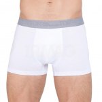 Трусы мужские шорты Torro TMX 3200, размер 92, White