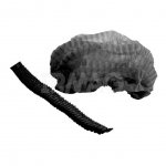 Шапочка-клип White Line Черная (50 шт)