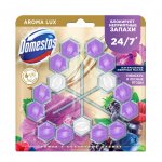 Блок для очищения унитаза Domestos Power 5 Aroma Lux Сказочный аромат (55 г х 3 шт)
