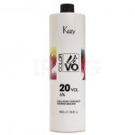 Эмульсия для окрашивания Kezy Color Vivo Oxidizing Emulsion Окисляющая 6% (1 л)