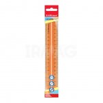 Линейка пластиковая Erich Krause Neon с держателем (20 см.)