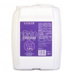 Крем-окислитель V-Color Professional Oxy Cream с ухаживающим маслом 1.9% (4 л)