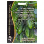 Семена Уральский Дачник Огурец Сибирская гирлянда F1 (5 шт.)