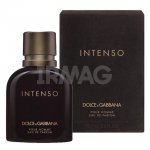 Парфюмированная вода Dolce & Gabbana Pour Homme Intenso EDP (40 мл)
