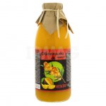 Нектар Aveo Облепихово-манговый (750 мл)