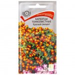 Семена Поиск Бархатцы тонколистные Красный самоцвет (0,1 г)