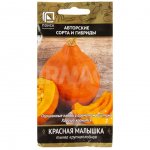 Семена Поиск Тыква Красная малышка (10 шт.)