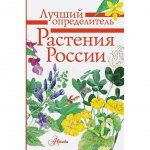 Книга АСТ Растения России: Определитель. Пескова И. М.