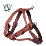 Шлейка Gamma кожаная универсальная, обхват груди 850-970 мм