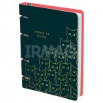 Тетрадь на кольцах Meshu Amazing Cats А5 (100 л)
