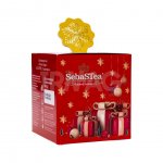 Чай SebaSTea Winter magic Ассорти (15 пак.)